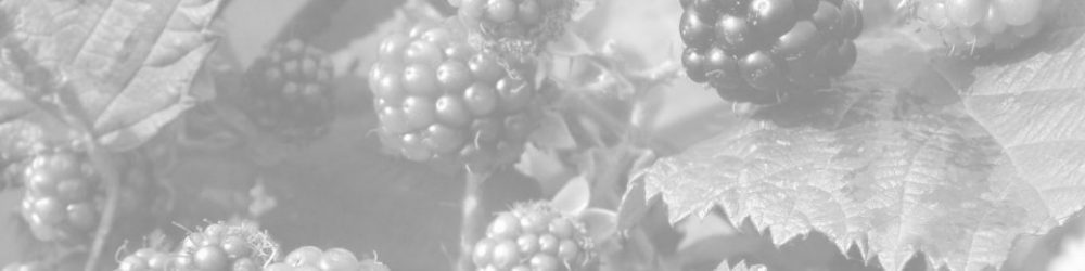 Bramble and Brush